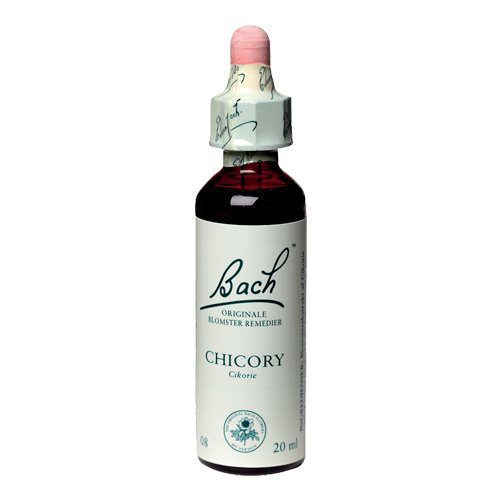 Bach Cikorie (Chicory)
