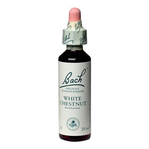 Bach Hestekastanie (White  Chestnut)