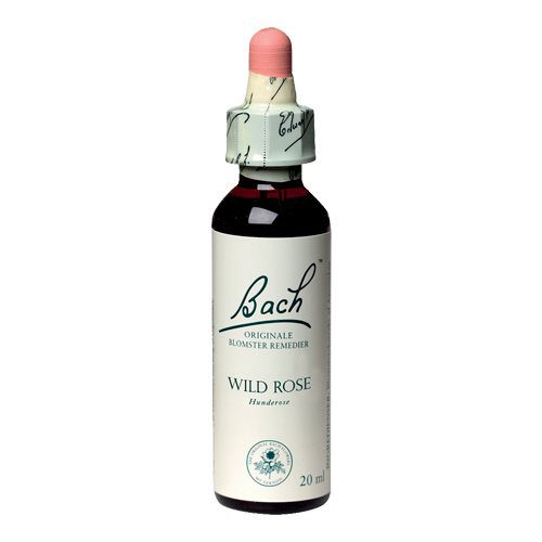 Bach Hunderose (Wild Rose)