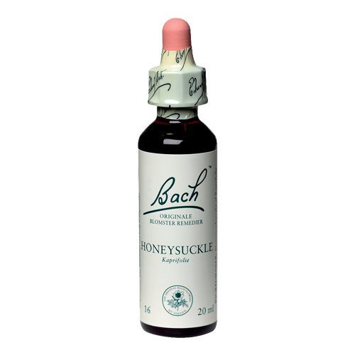 Bach Kaprifolie (Honeysuckle)