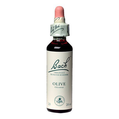 Bach Oliventræ (Olive)