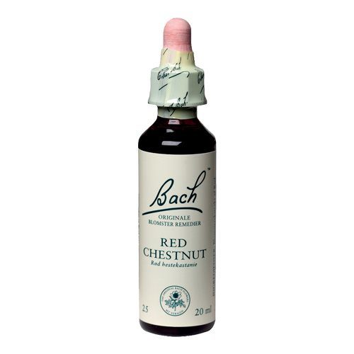 Bach Rød Hestekastanie (Red Chestnut)