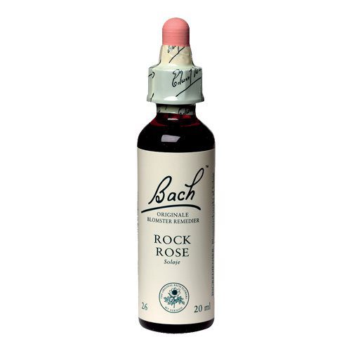 Bach Soløje (Rock Rose)