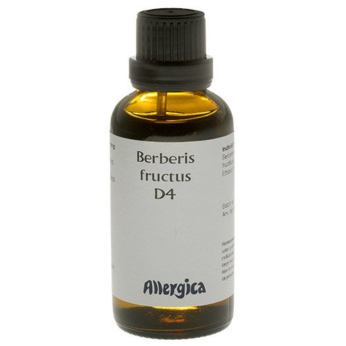 Berberis fructus D4