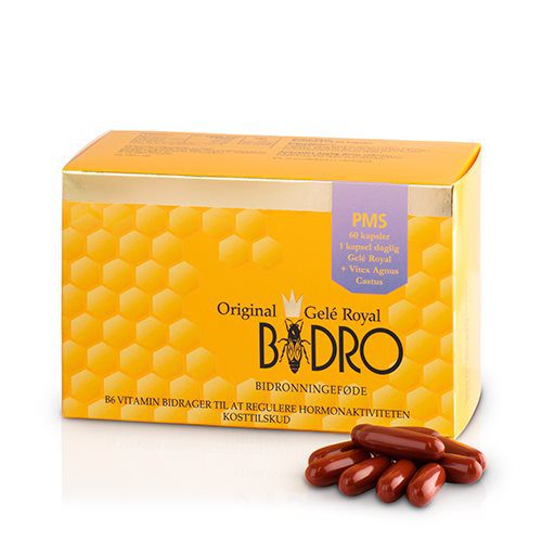 Bidro PMS
