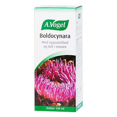 Boldocynara