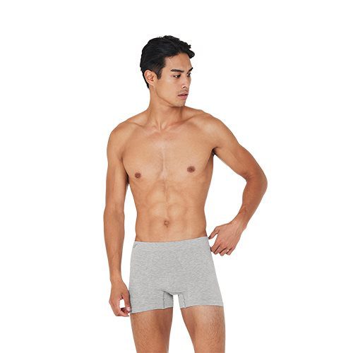 Boxer shorts lysegrå str. L