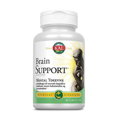 Brain Support