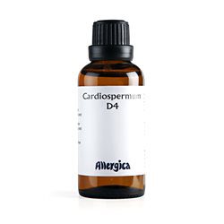 Cardiospermum D4