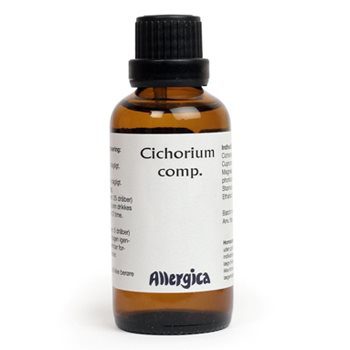 Cichorium comp.