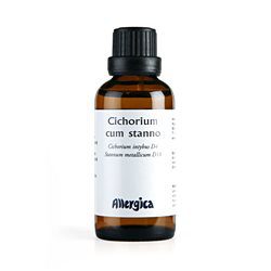 Cichorium cum stanno