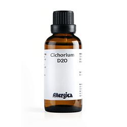 Cichorium D20