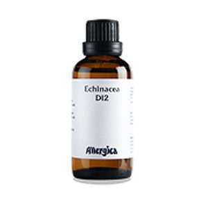 Echinacea D12