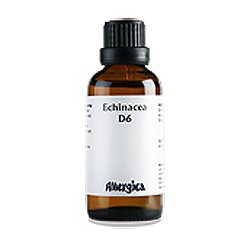 Echinacea D6