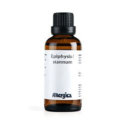 Epifysis, Stannum