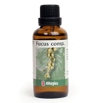 Fucus comp.