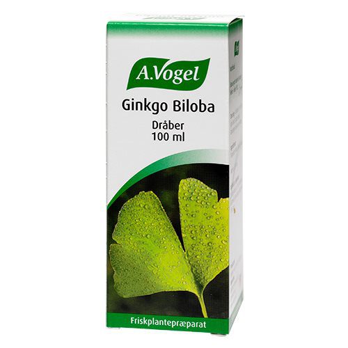 Ginkgo Biloba