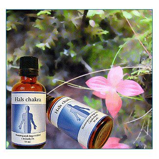Hals chakra