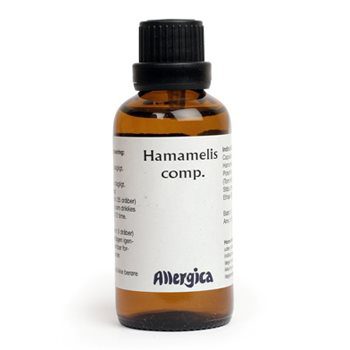 Hamamelis comp.
