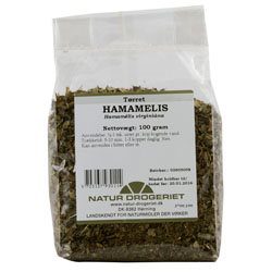 Hamamelis