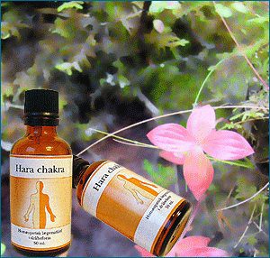 Hara chakra