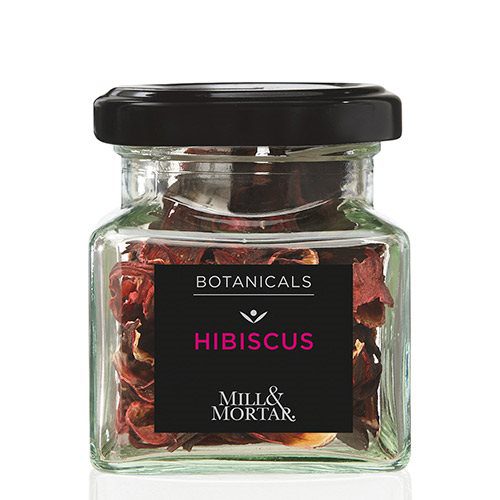 Hibiscus Ø