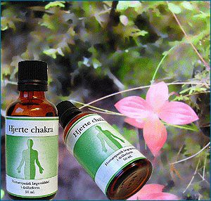 Hjerte chakra