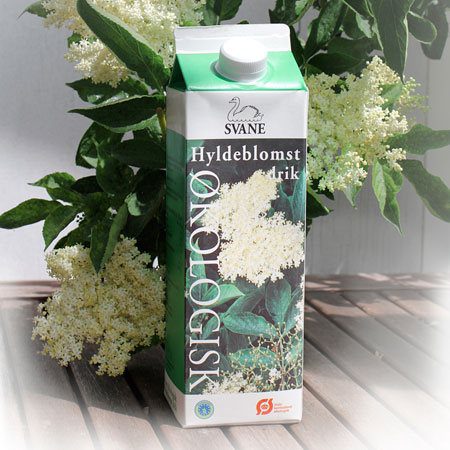 Hyldeblomstdrik Ø