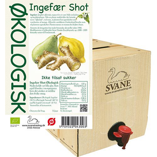 Ingefær shot m pære & citron Ø BiB