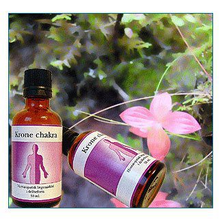 Krone chakra