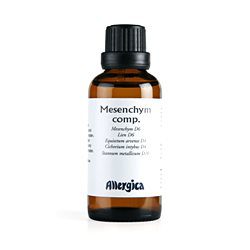 Mesenchym comp.