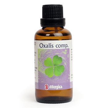 Oxalis comp.