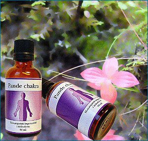 Pande chakra