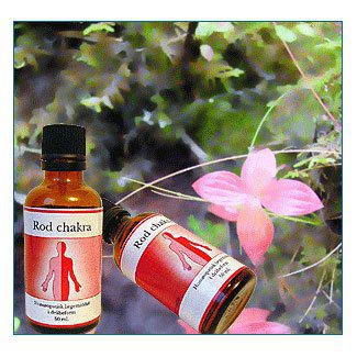 Rod feminin chakra