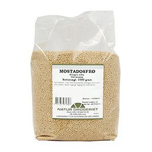 Sennepsfrø gul hel  Mostadosfrø