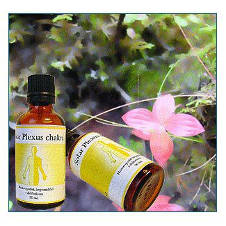 Solar plexus chakra