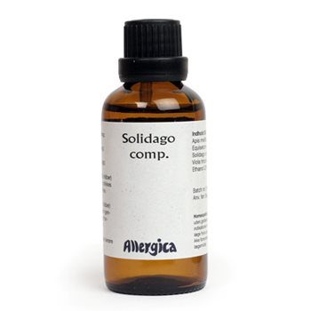 Solidago comp.