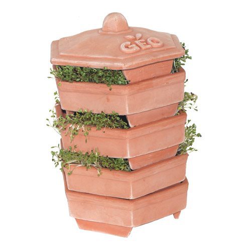 Terracotta Sprouter