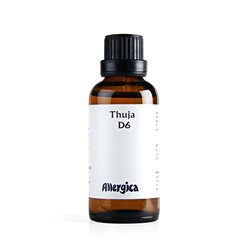Thuja D6