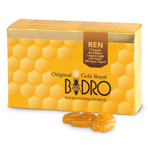 Bidro Ren