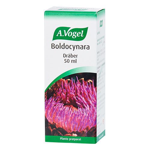Boldocynara