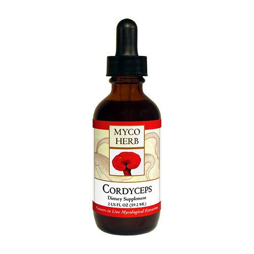 Cordyceps