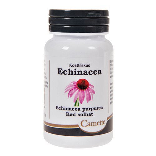 Echinacea