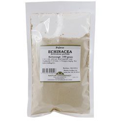 Echinacea