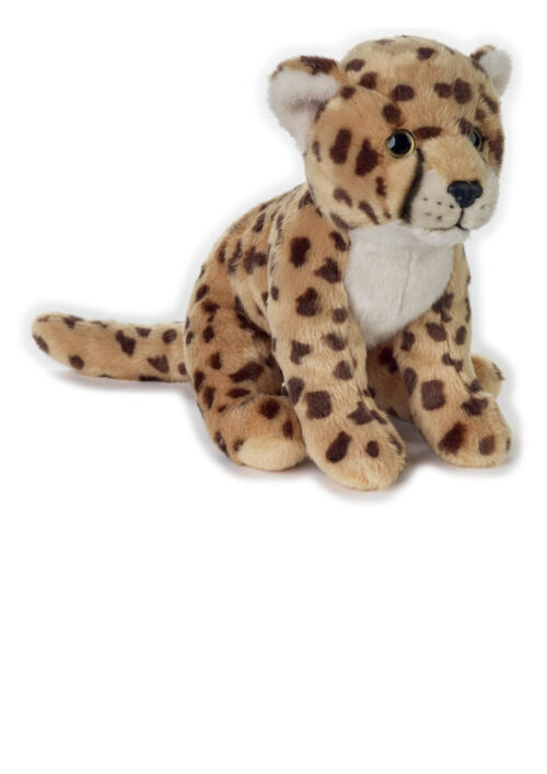National Geographic Gepard