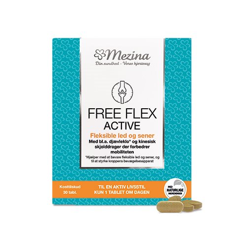 Free Flex Active
