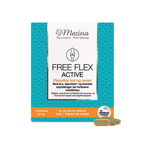 Free Flex Active