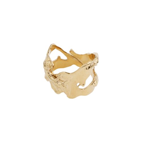 Pilgrim COMPASS organisk ring guldbelagt