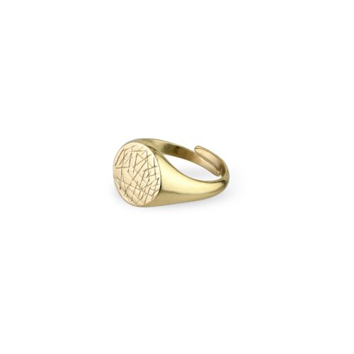 Pilgrim Ring : Vega : Guldbelagt