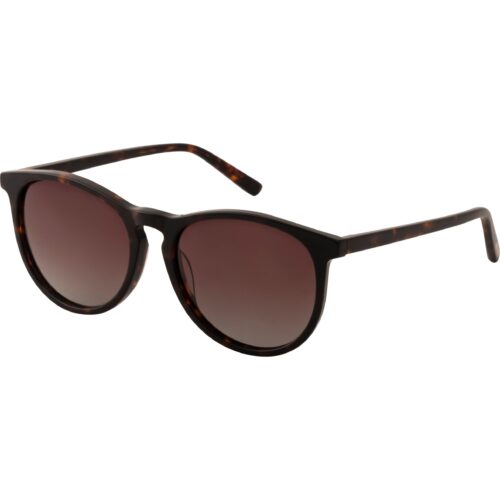 Pilgrim SAHARA acetat solbriller brun tortoise